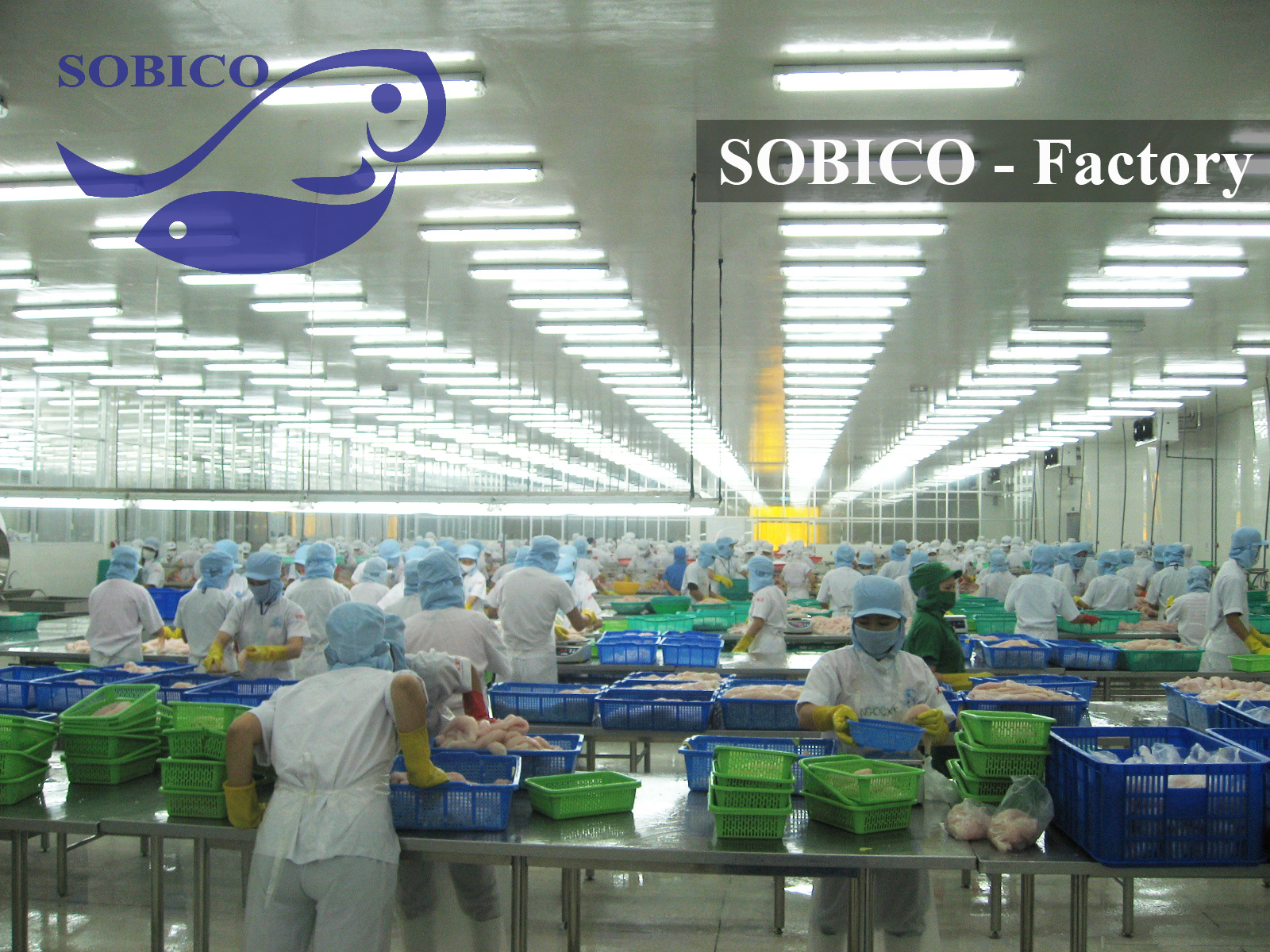 SOBICO_FACTORY__1
