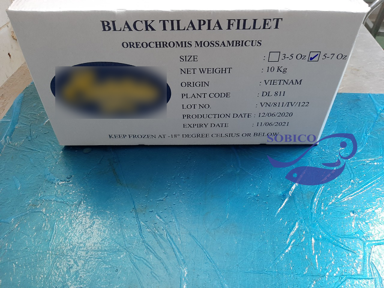 black_tilapia_fillet_1