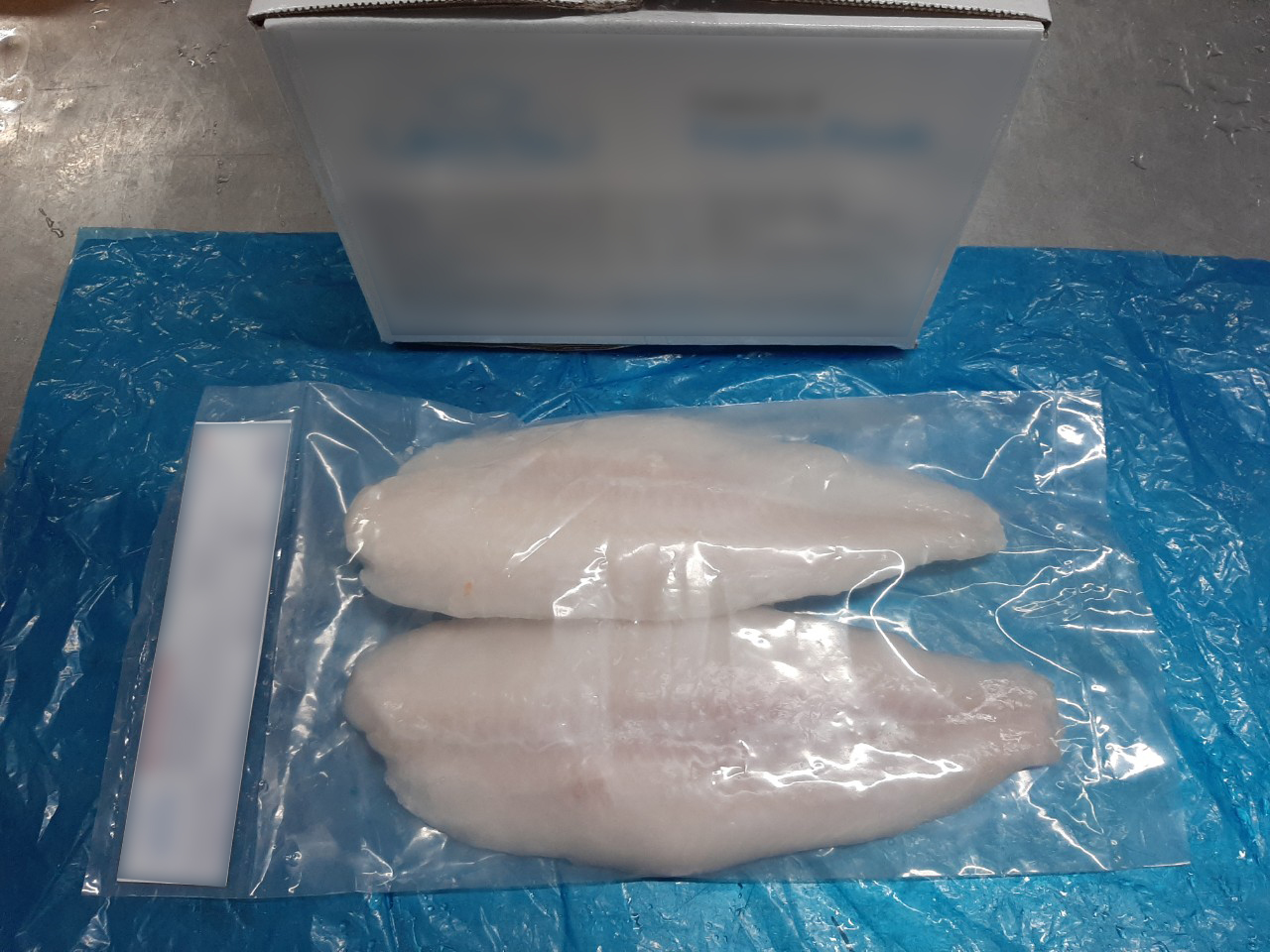 PANGASIUS FILLET WELL TRIMMED