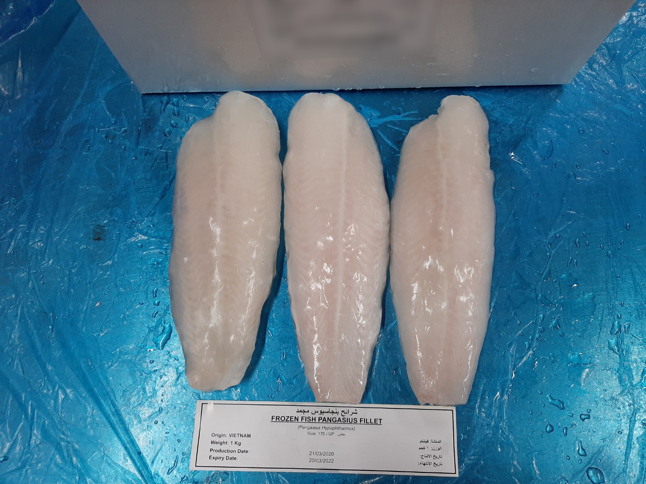 PANGASIUS FILLET WELL TRIMMED