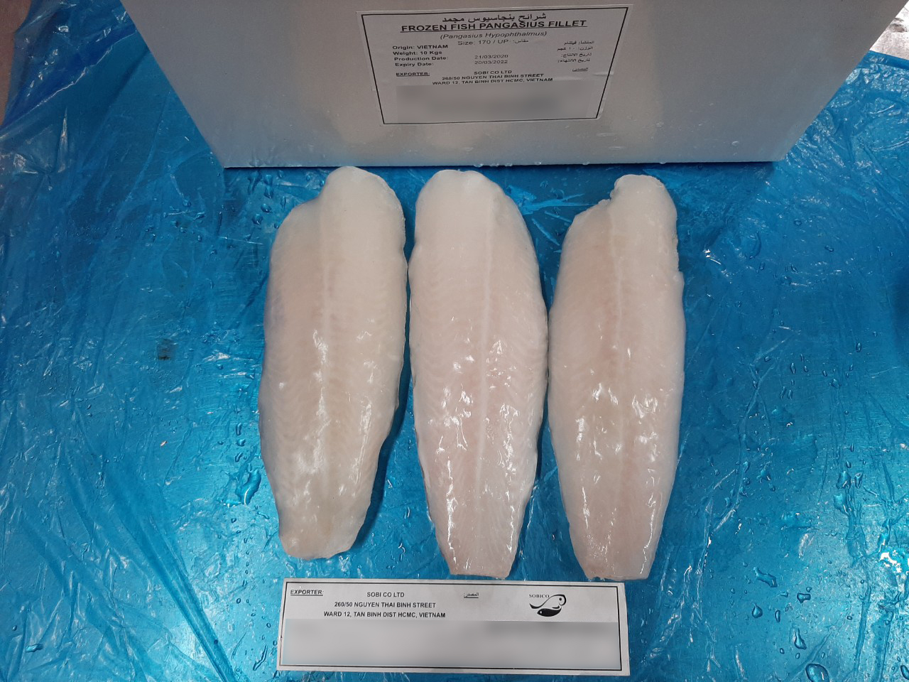 PANGASIUS FILLET WELL TRIMMED