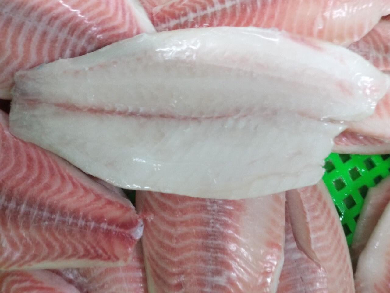 red_tilapia_3