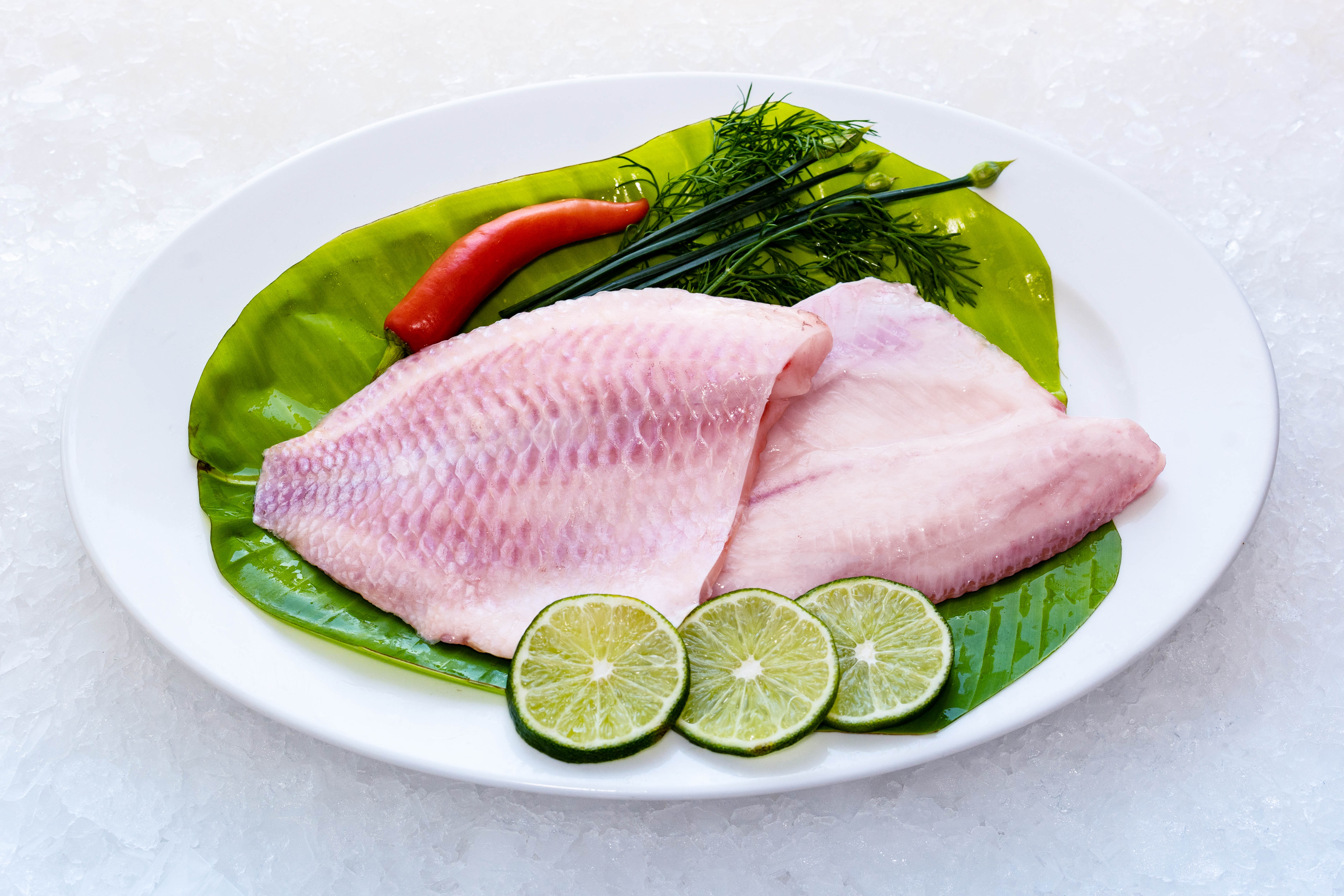red_tilapia_3
