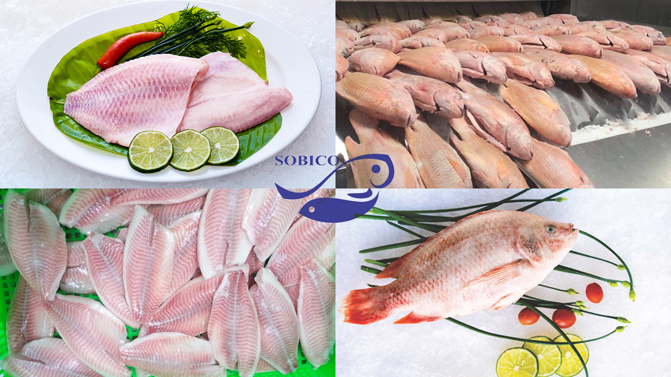 red_tilapia_3