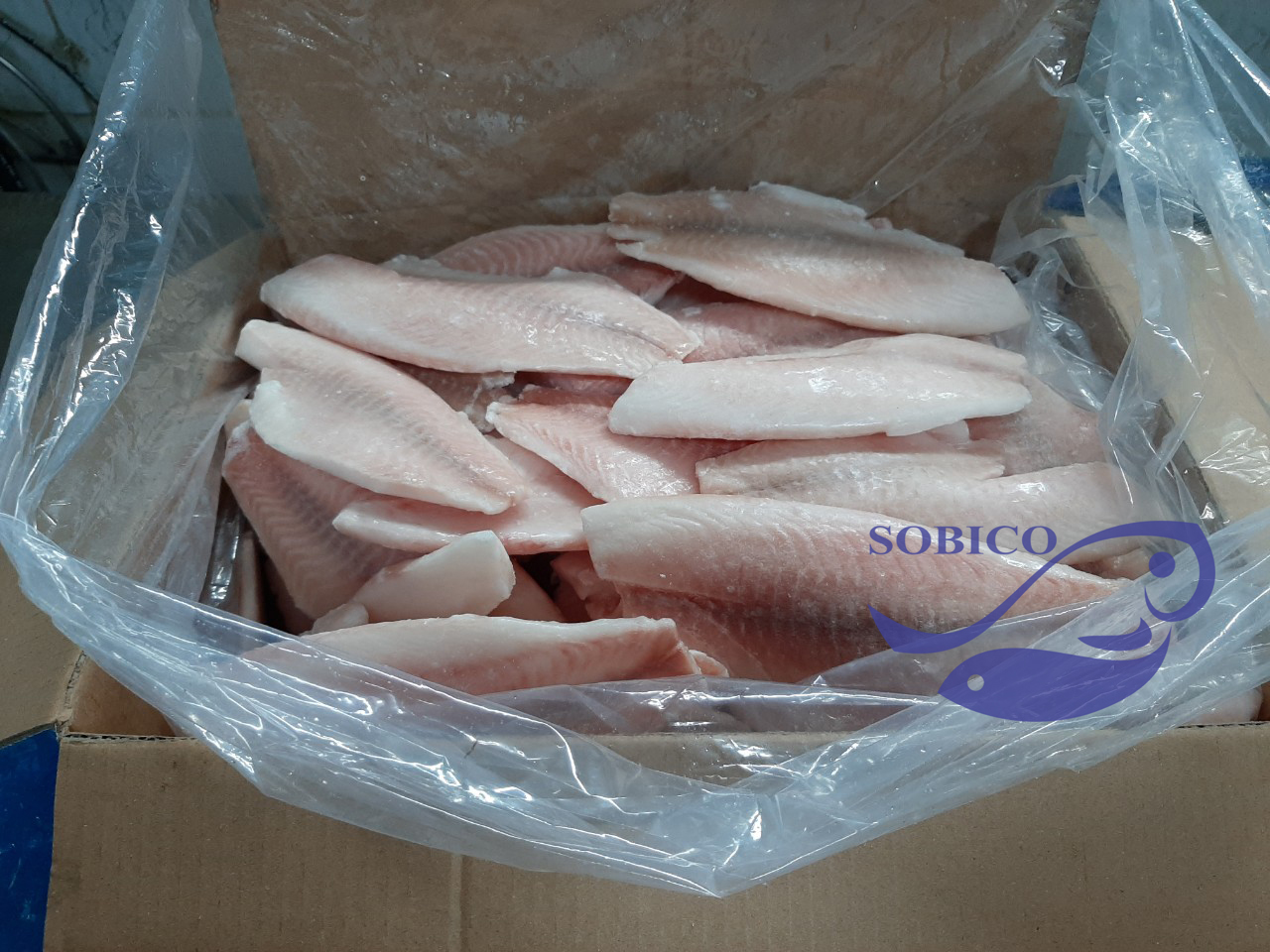 black_tilapia_fillet_1