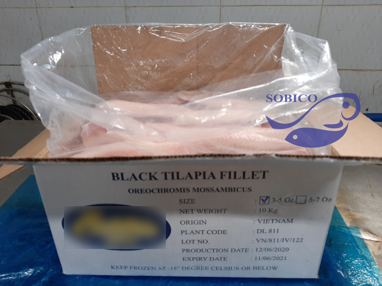 black_tilapia_fillet_1
