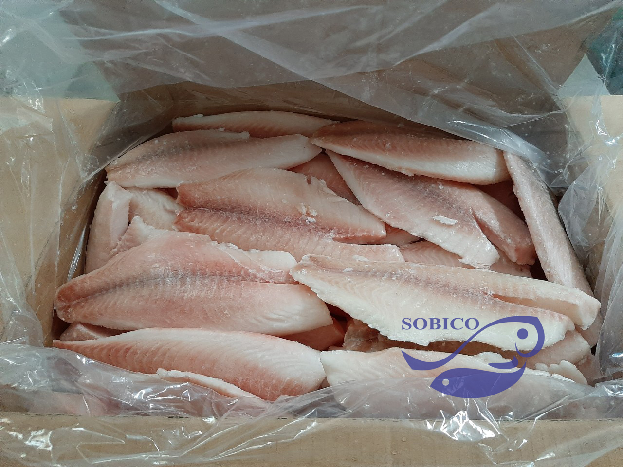 black_tilapia_fillet_1
