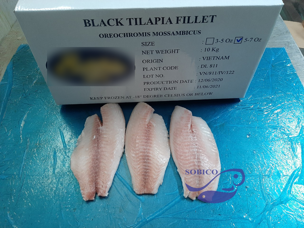 black_tilapia_fillet_1