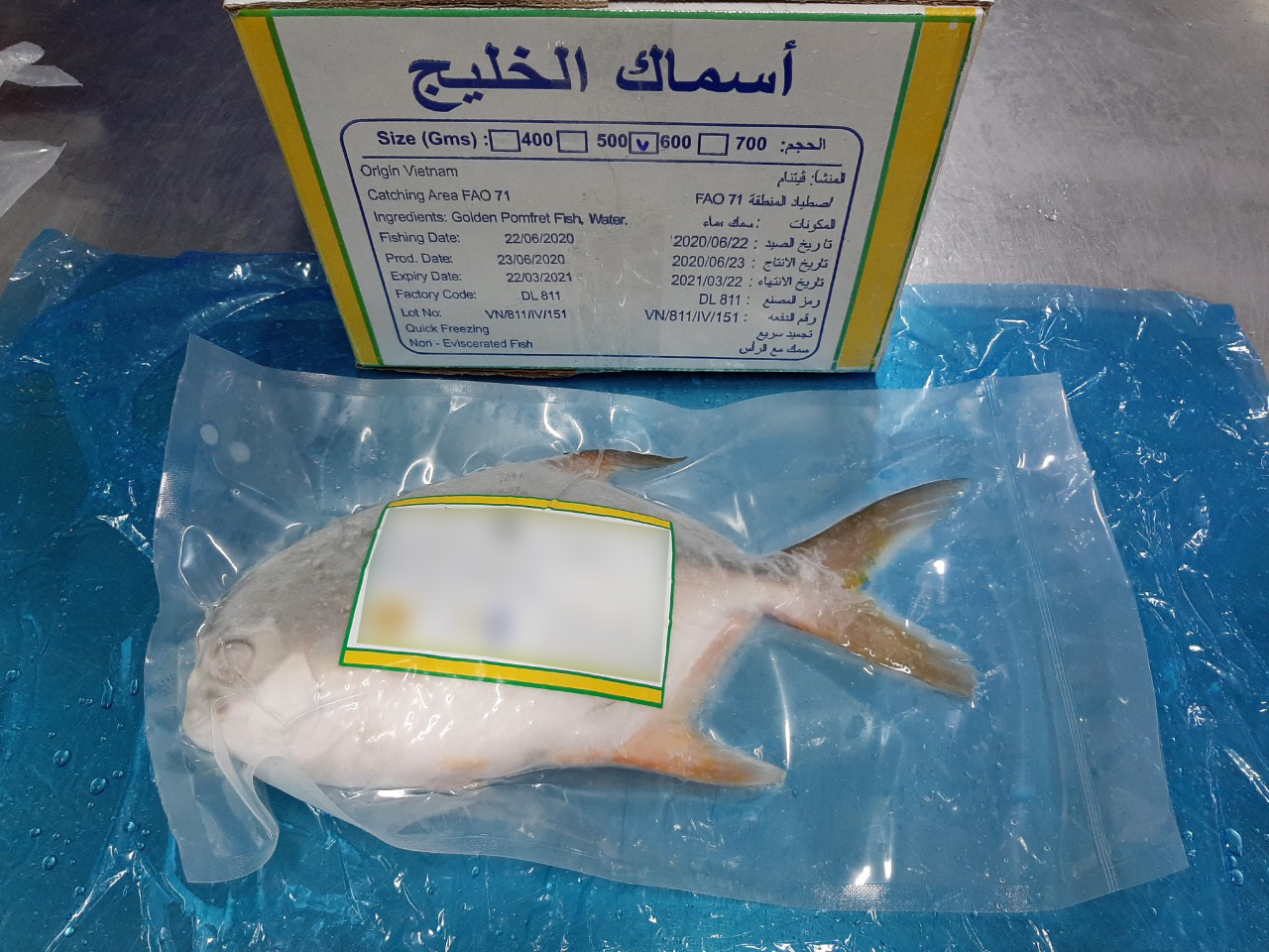 goden_pomfret_3