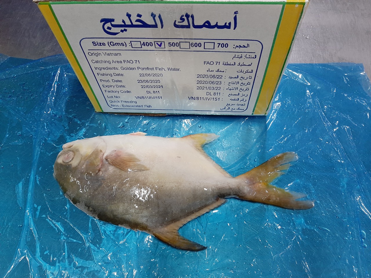 goden_pomfret_5