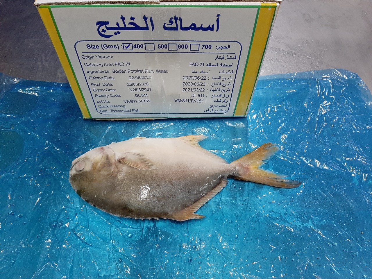 goden_pomfret_7