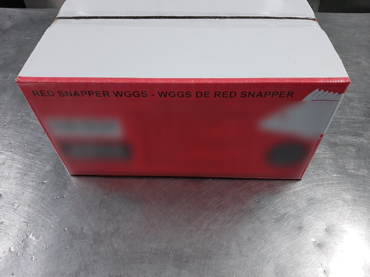 red_snapper_2