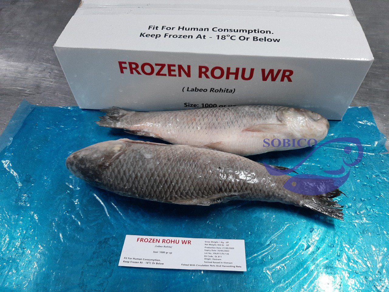rohu_wr2