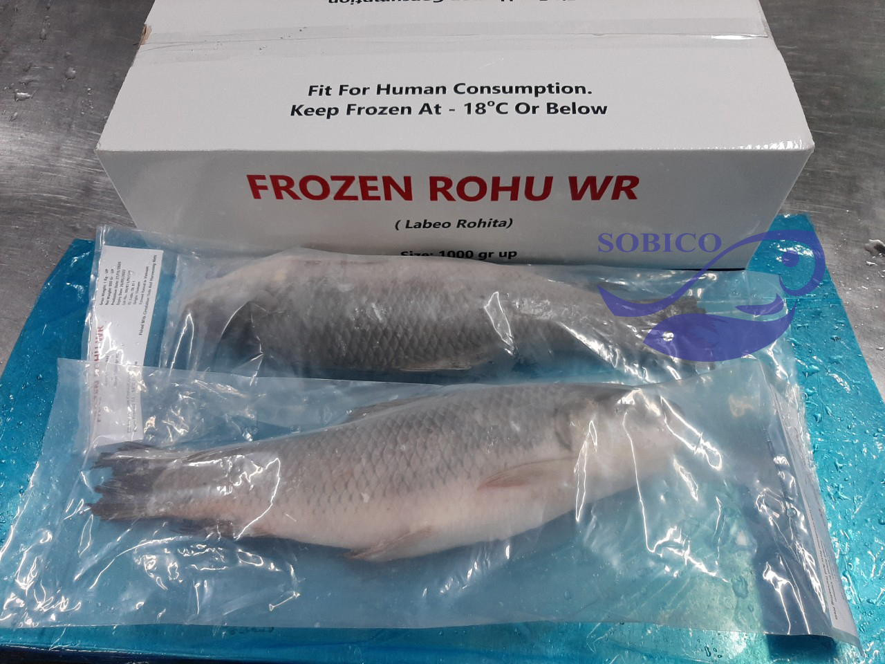 rohu_wr2